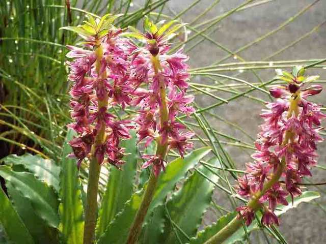 DSCF5599.jpg