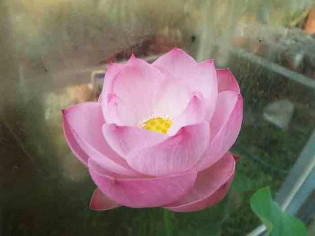 DSCF5644.jpg