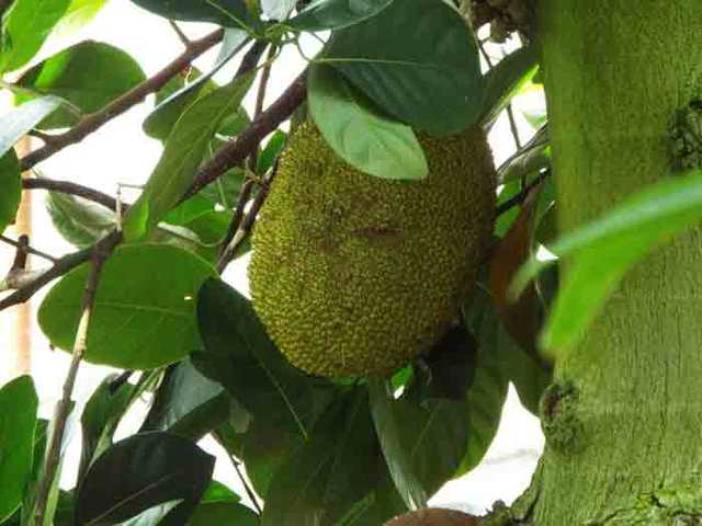 DSCF5736.jpg