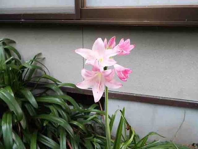 DSCF5799.jpg