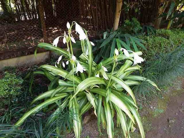 DSCF5809.jpg
