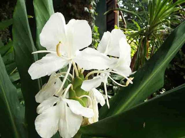 DSCF6513.jpg