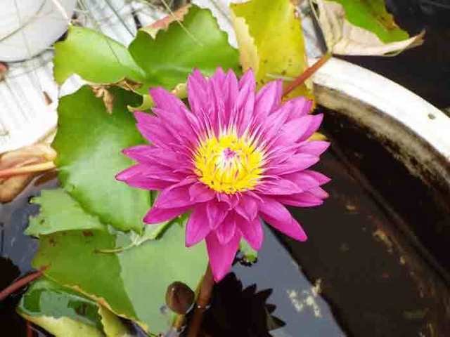 DSCF6554.jpg