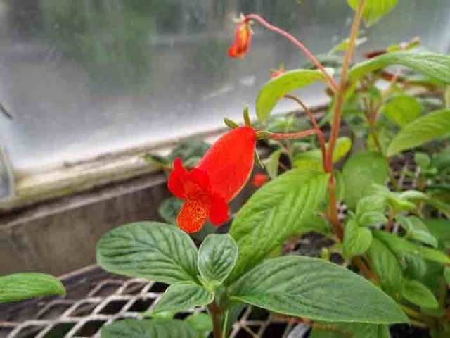 DSCF6582.jpg