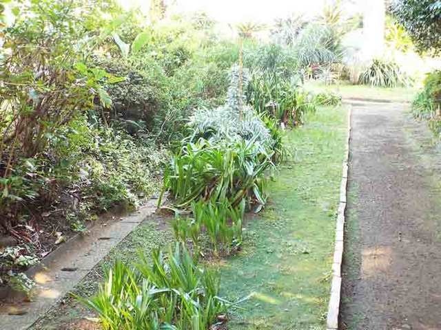 DSCF7824.jpg
