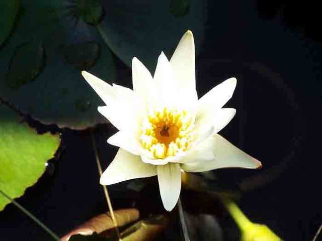 DSCF8259.jpg