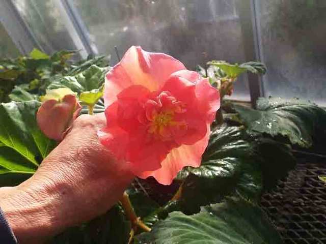 DSCF8568.jpg