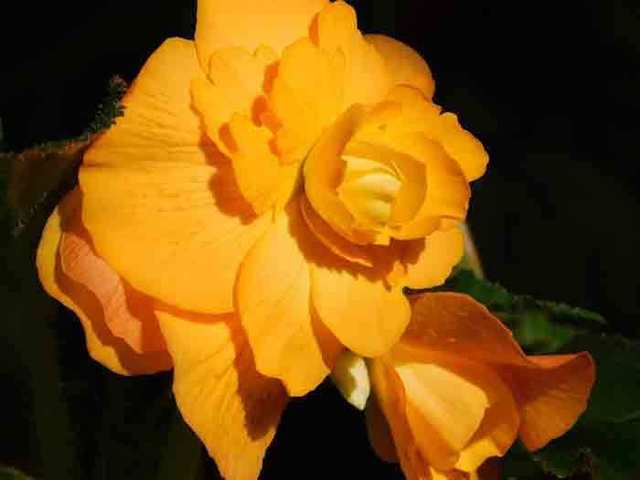 DSCN0117.jpg