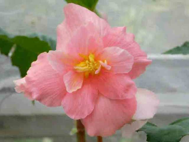 DSCN0137.jpg