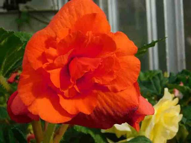 DSCN0139.jpg