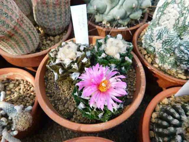 DSCN0228.jpg