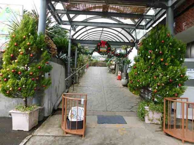 DSCN0352.jpg
