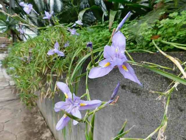 DSCN0360.jpg
