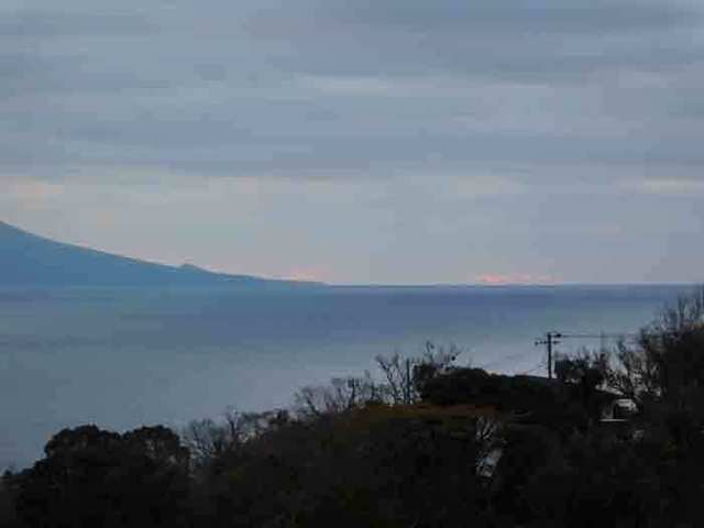 DSCN0617.jpg