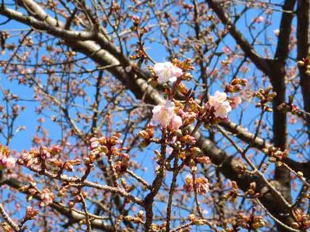 DSCN0994.jpg