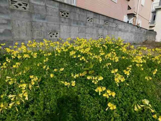 DSCN1380.jpg