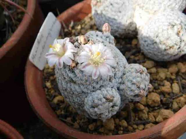 DSCN1690.jpg