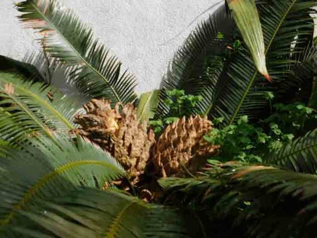 DSCN0169.jpg