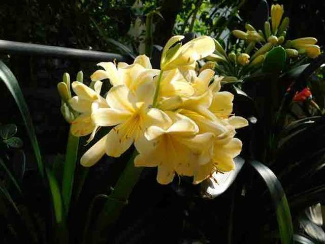 DSCN0294.jpg