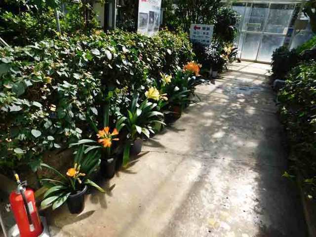 DSCN0291.jpg