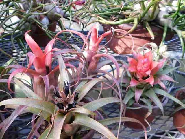 DSCN0555.jpg