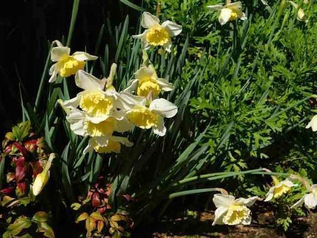 DSCN0042.jpg