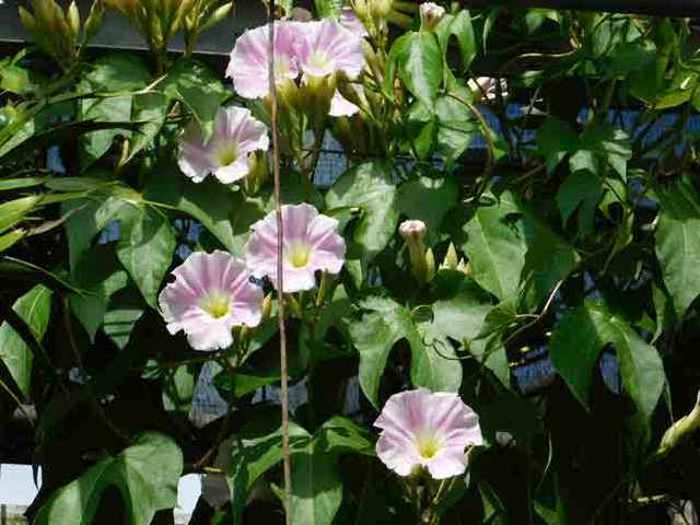 DSCN0068.jpg
