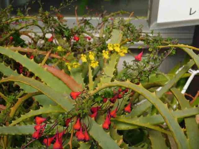 DSCN0073.jpg