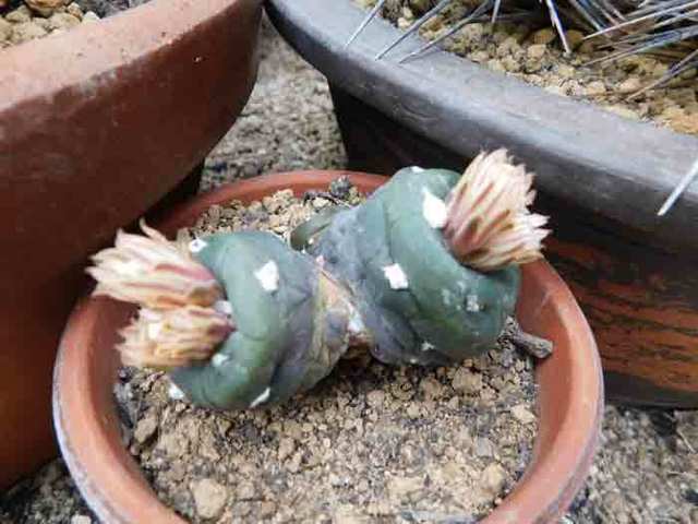 DSCN0101.jpg