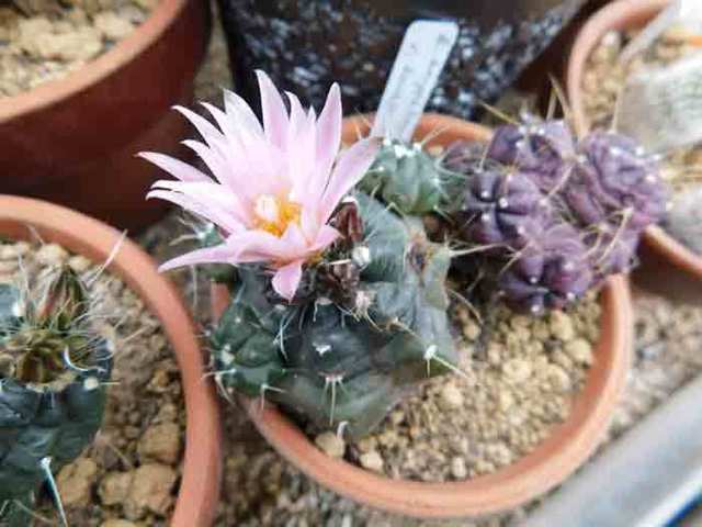 DSCN0085.jpg