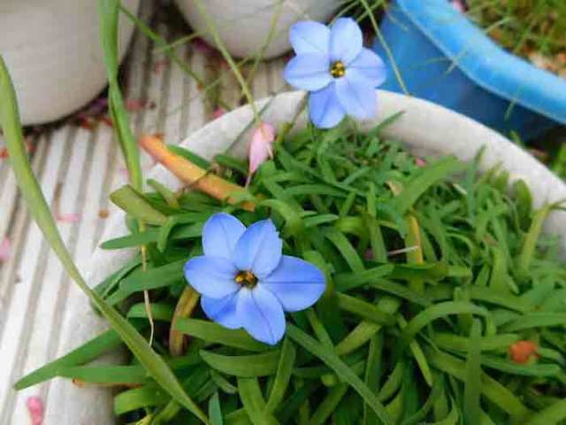 DSCN0083.jpg