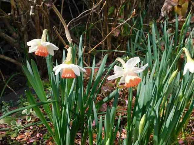 DSCN0143.jpg