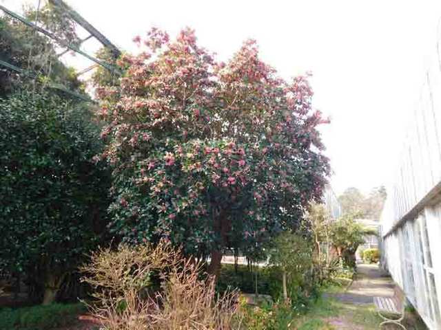DSCN0180.jpg