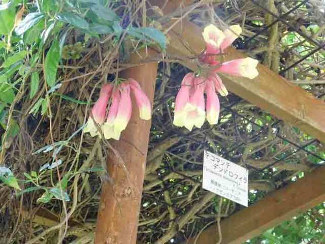 DSCN0402.jpg