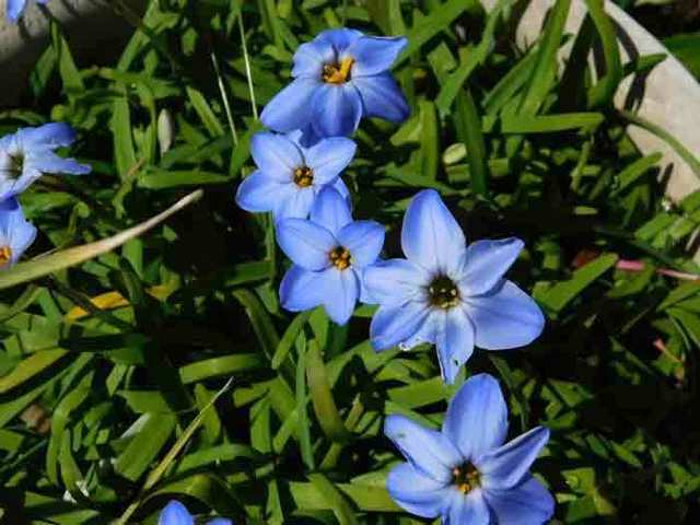 DSCN0567.jpg