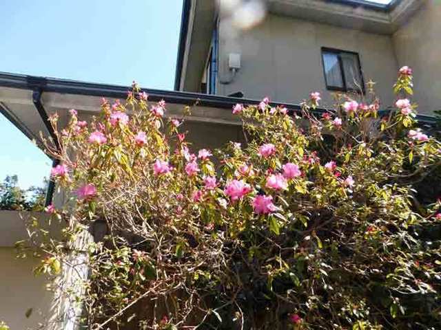 DSCN0676.jpg