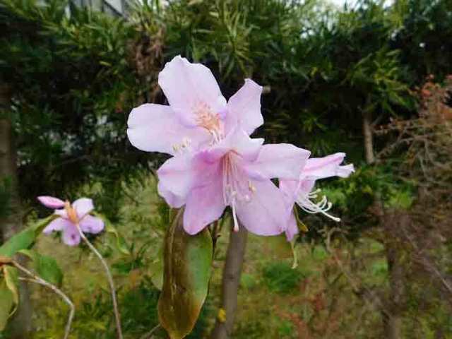 DSCN1495.jpg