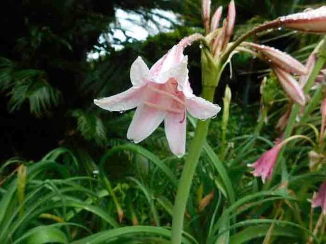 DSCN3771.jpg