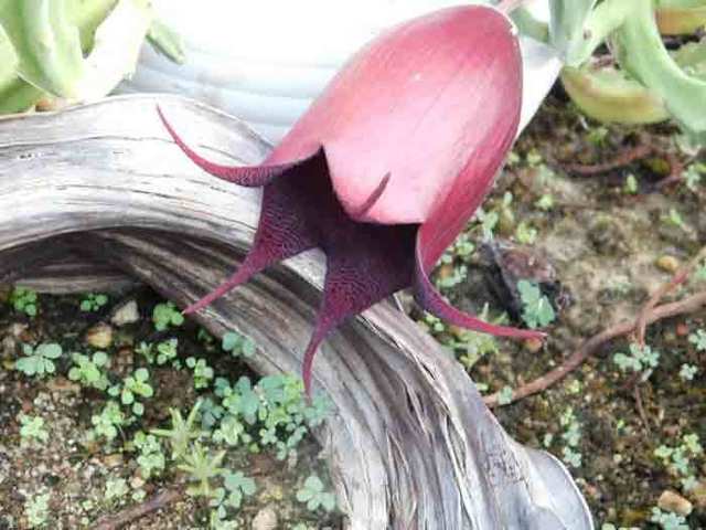 DSCN5184.jpg