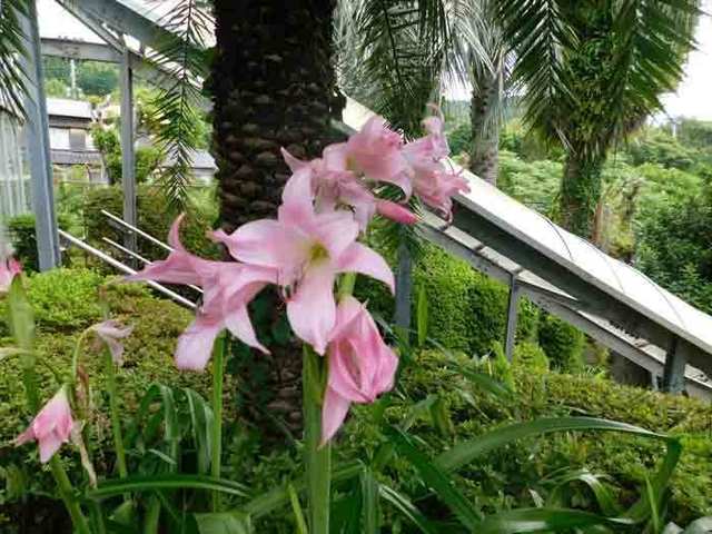 DSCN5663.jpg