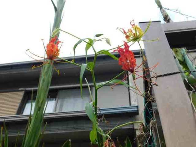 DSCN8976.jpg