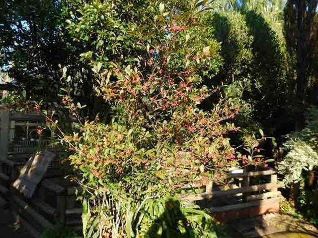 DSCN9173.jpg