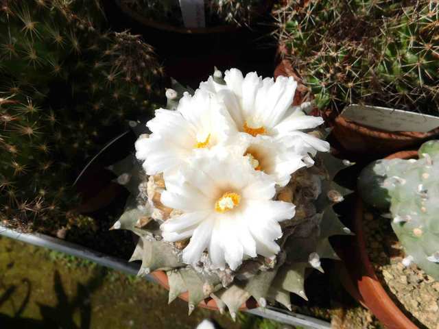 DSCN9291.jpg
