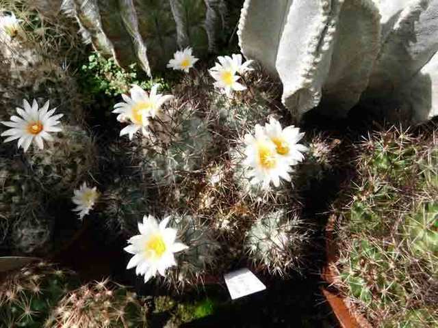 DSCN9298.jpg