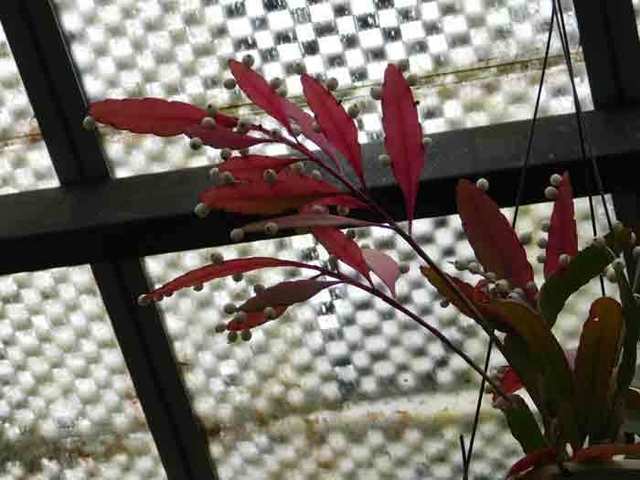 DSCN9088.jpg