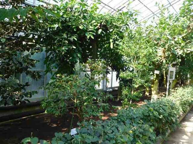 DSCN9524.jpg