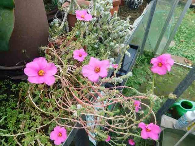 DSCN9736.jpg