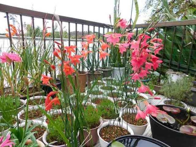 DSCN0470.jpg