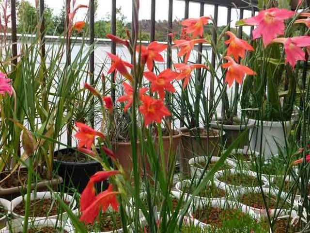 DSCN0475.jpg