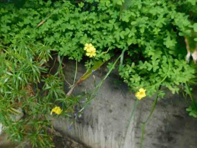 DSCN0511.jpg